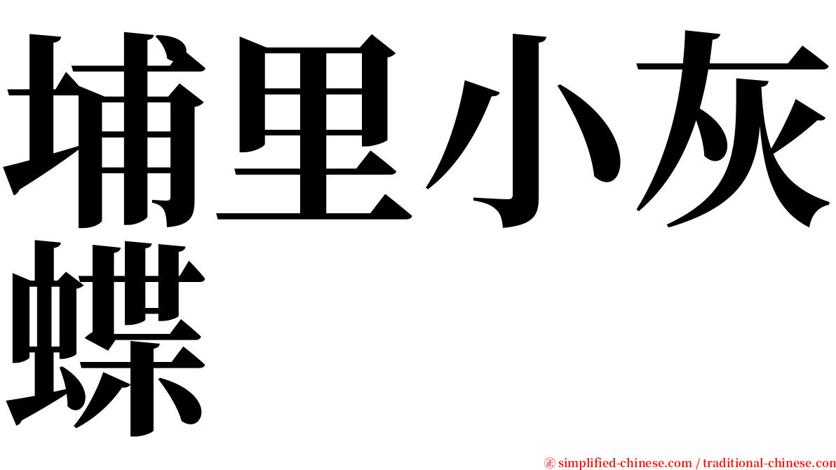 埔里小灰蝶 serif font