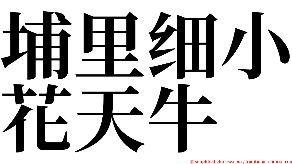 埔里细小花天牛 serif font