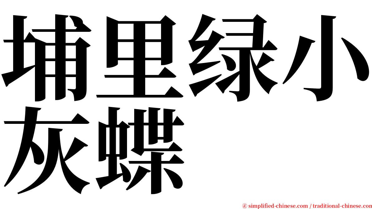 埔里绿小灰蝶 serif font