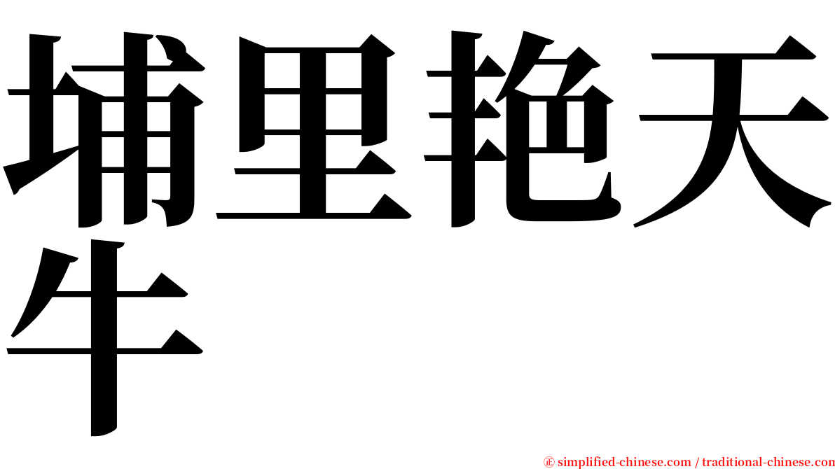 埔里艳天牛 serif font