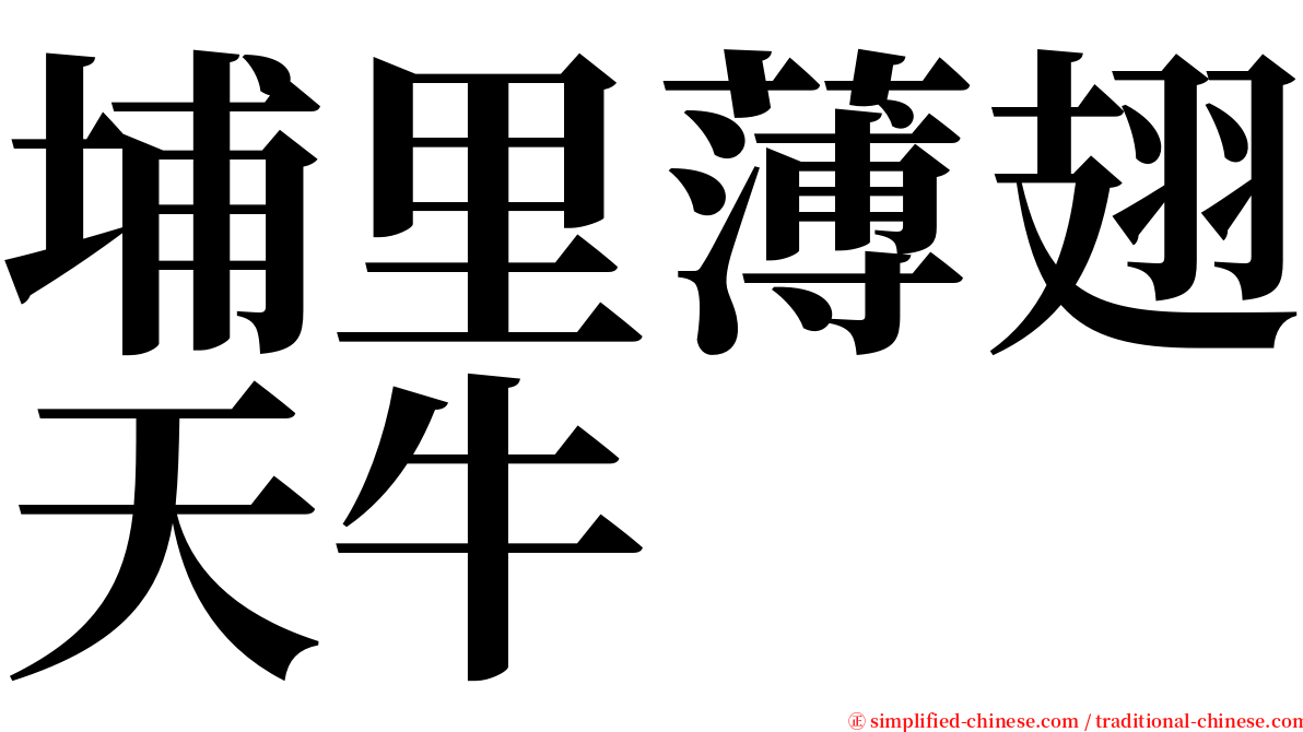 埔里薄翅天牛 serif font