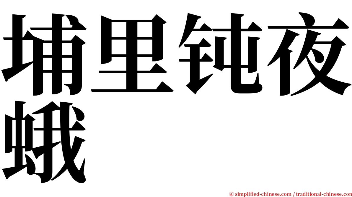 埔里钝夜蛾 serif font