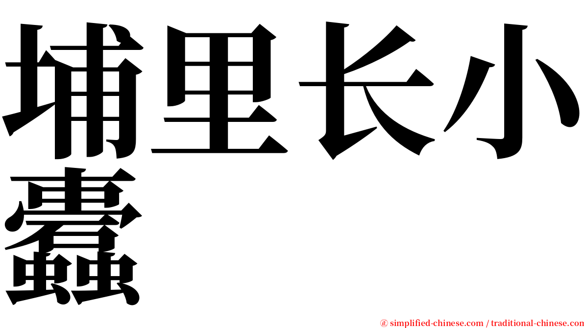 埔里长小蠹 serif font