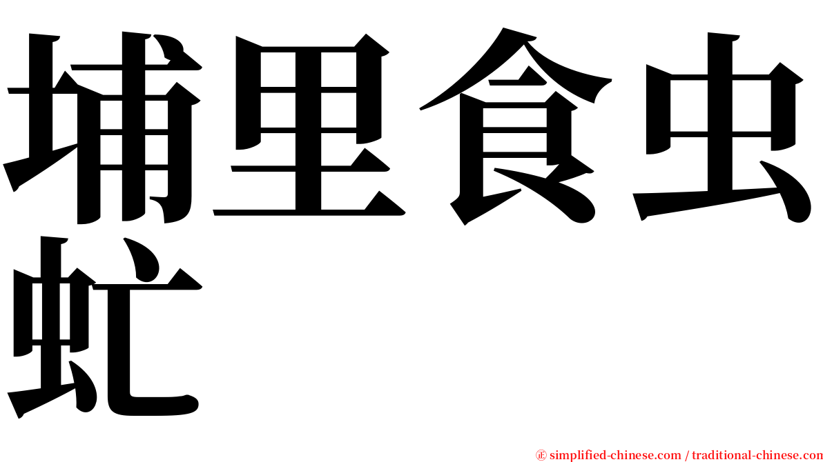 埔里食虫虻 serif font