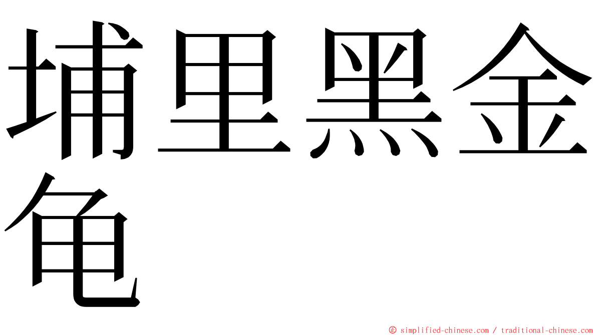 埔里黑金龟 ming font