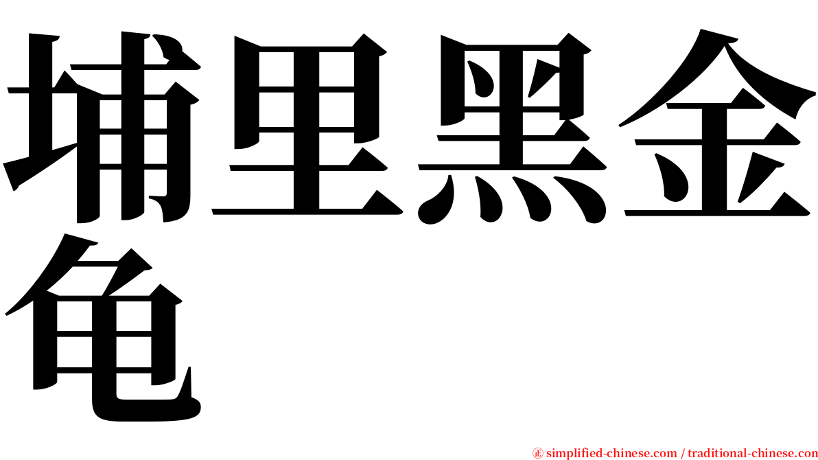 埔里黑金龟 serif font