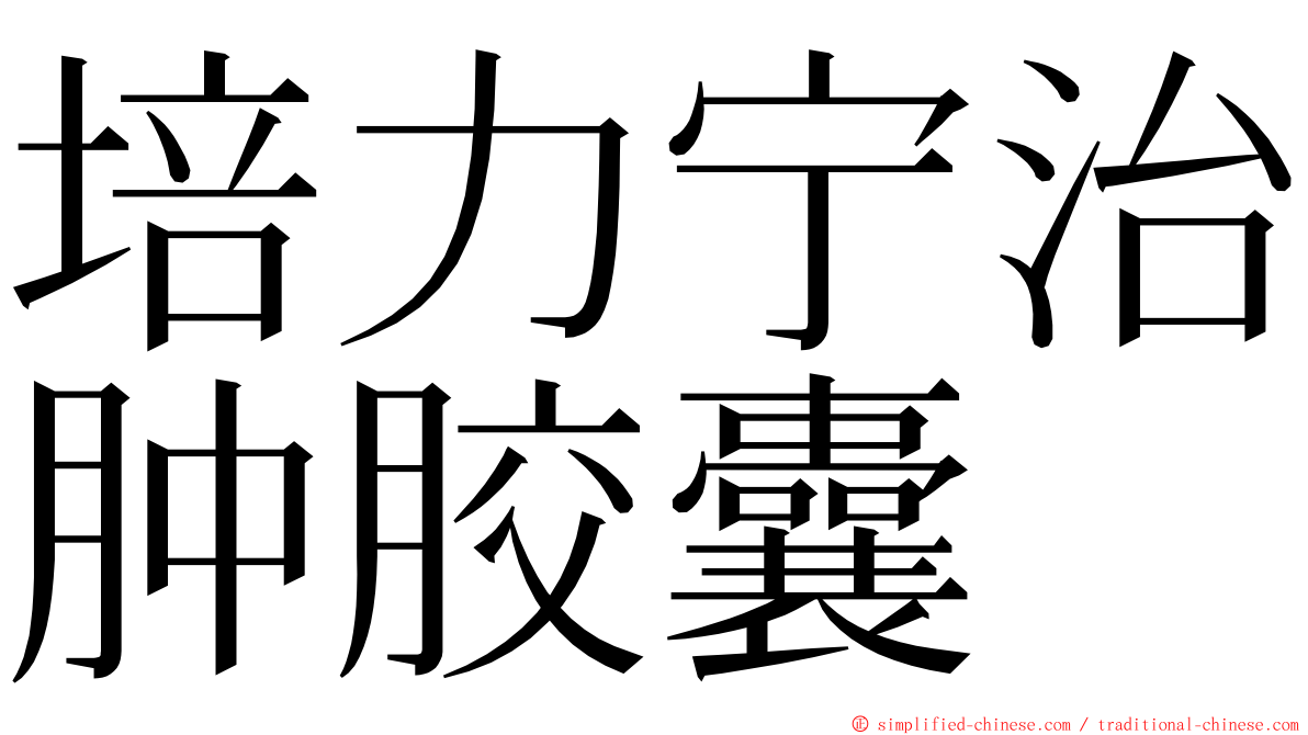 培力宁治肿胶囊 ming font