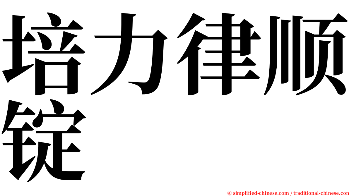 培力律顺锭 serif font