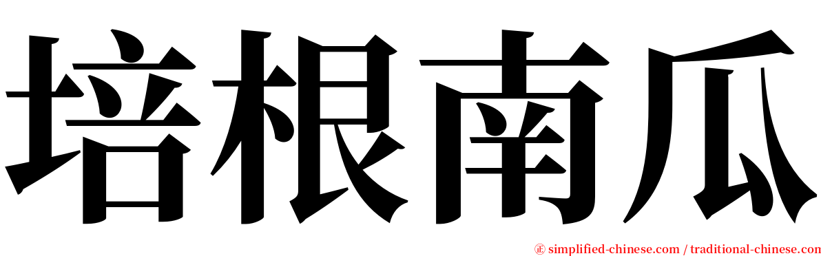 培根南瓜 serif font