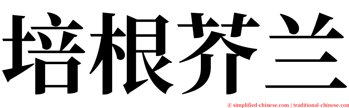 培根芥兰 serif font