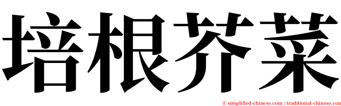 培根芥菜 serif font