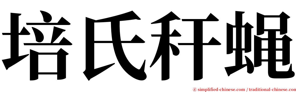 培氏秆蝇 serif font