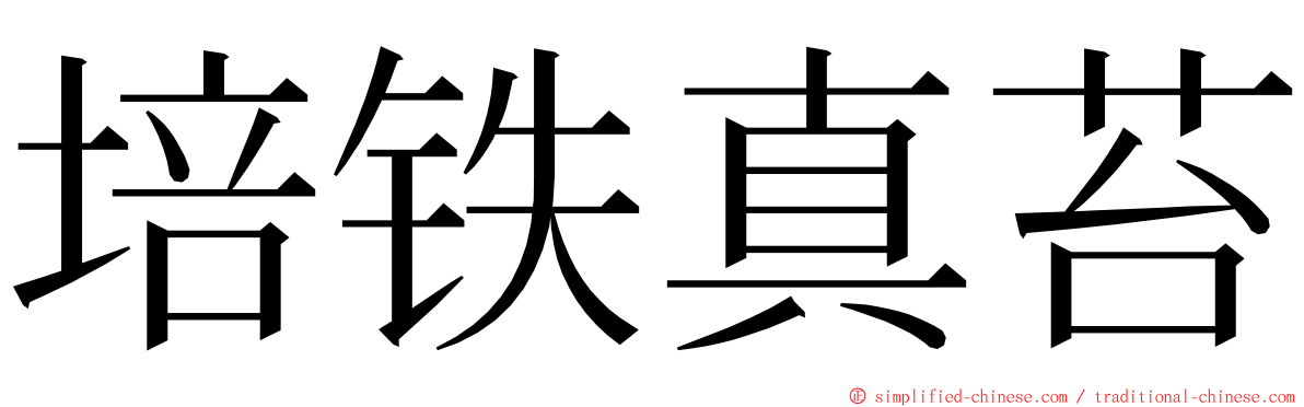 培铁真苔 ming font