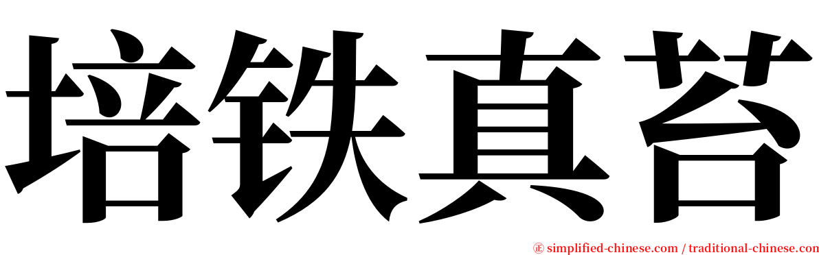 培铁真苔 serif font