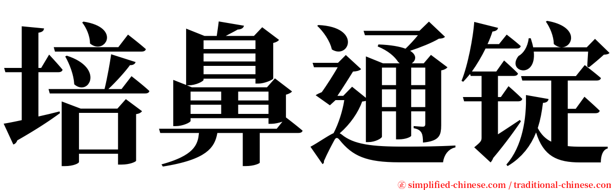 培鼻通锭 serif font