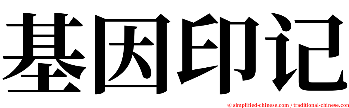 基因印记 serif font