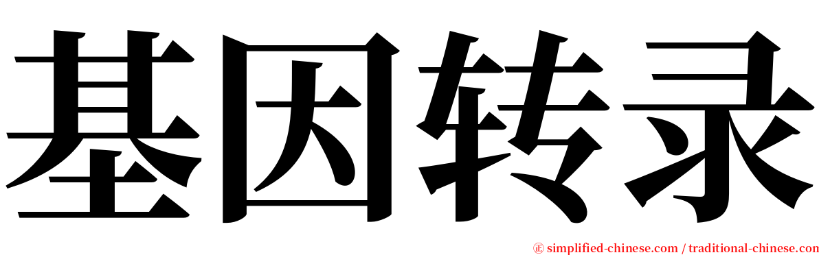 基因转录 serif font