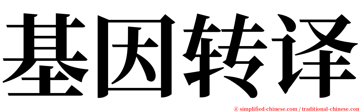 基因转译 serif font