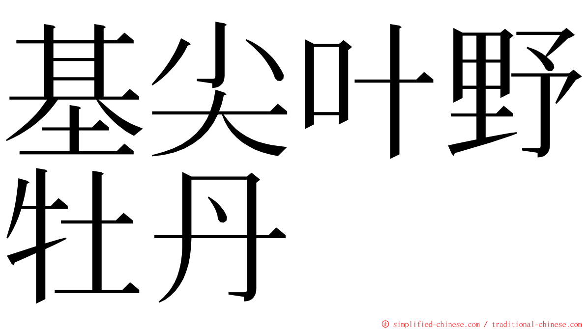 基尖叶野牡丹 ming font