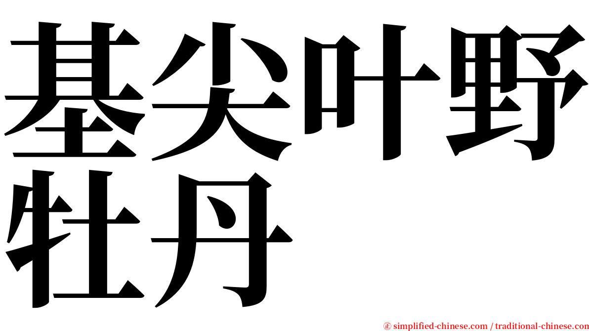 基尖叶野牡丹 serif font