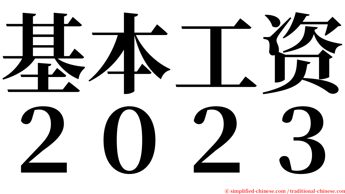 基本工资２０２３ serif font