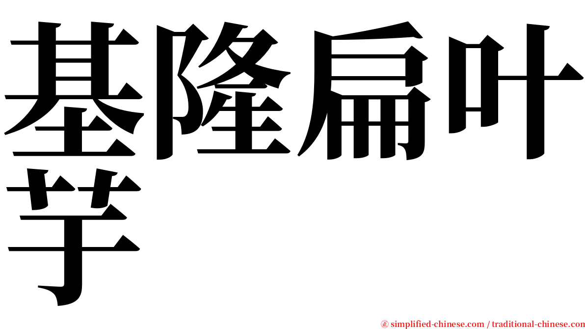 基隆扁叶芋 serif font