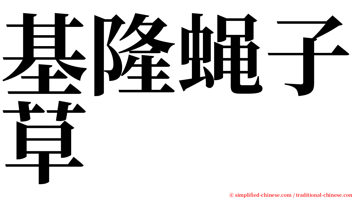 基隆蝇子草 serif font