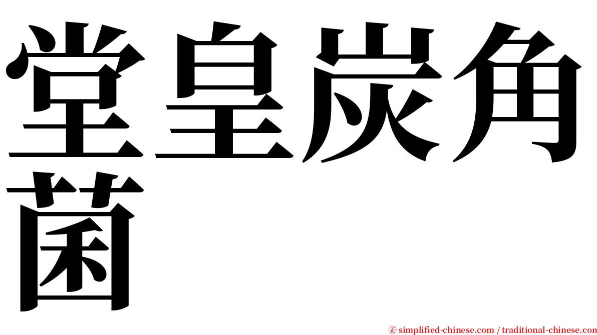 堂皇炭角菌 serif font