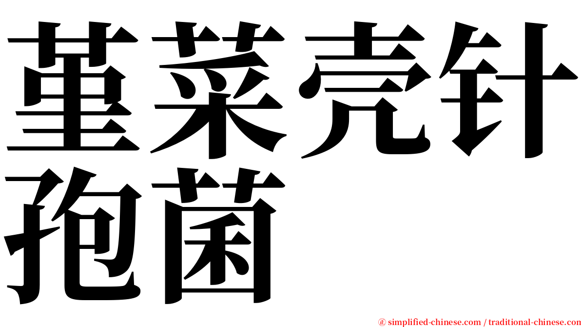 堇菜壳针孢菌 serif font