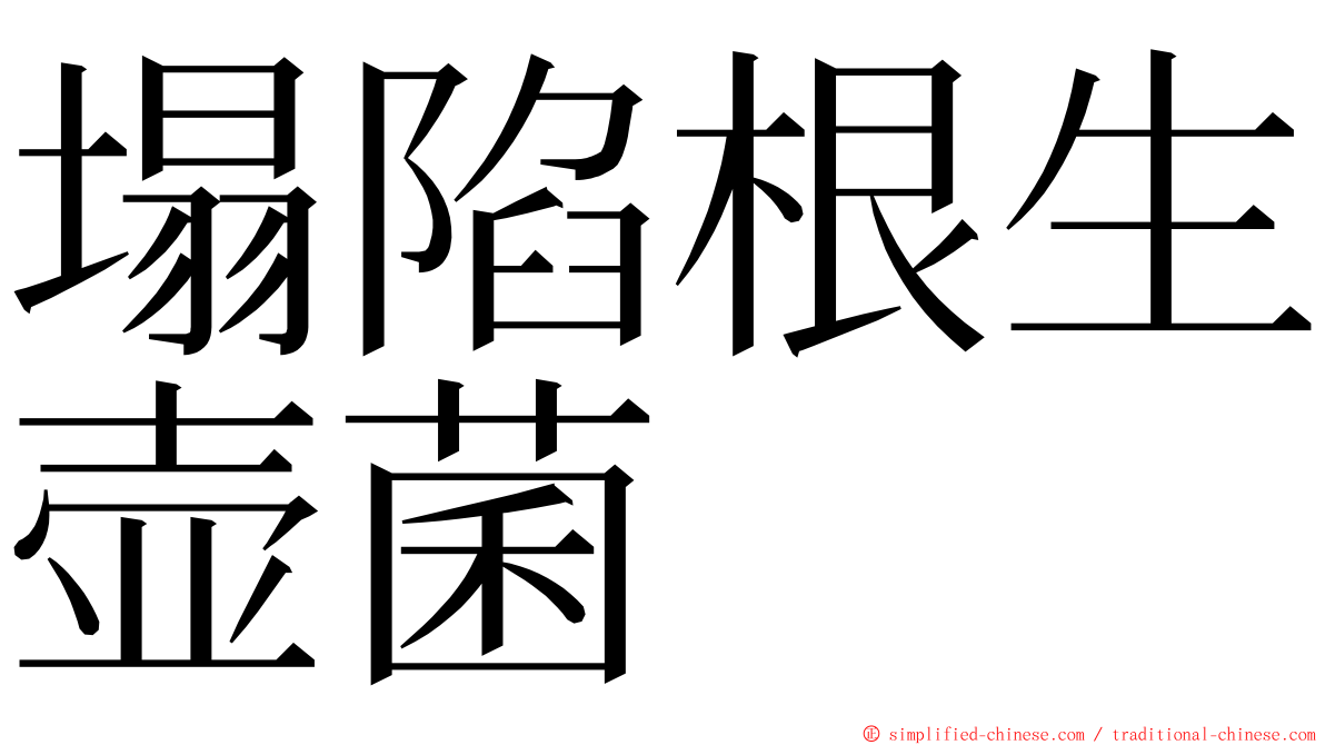 塌陷根生壶菌 ming font