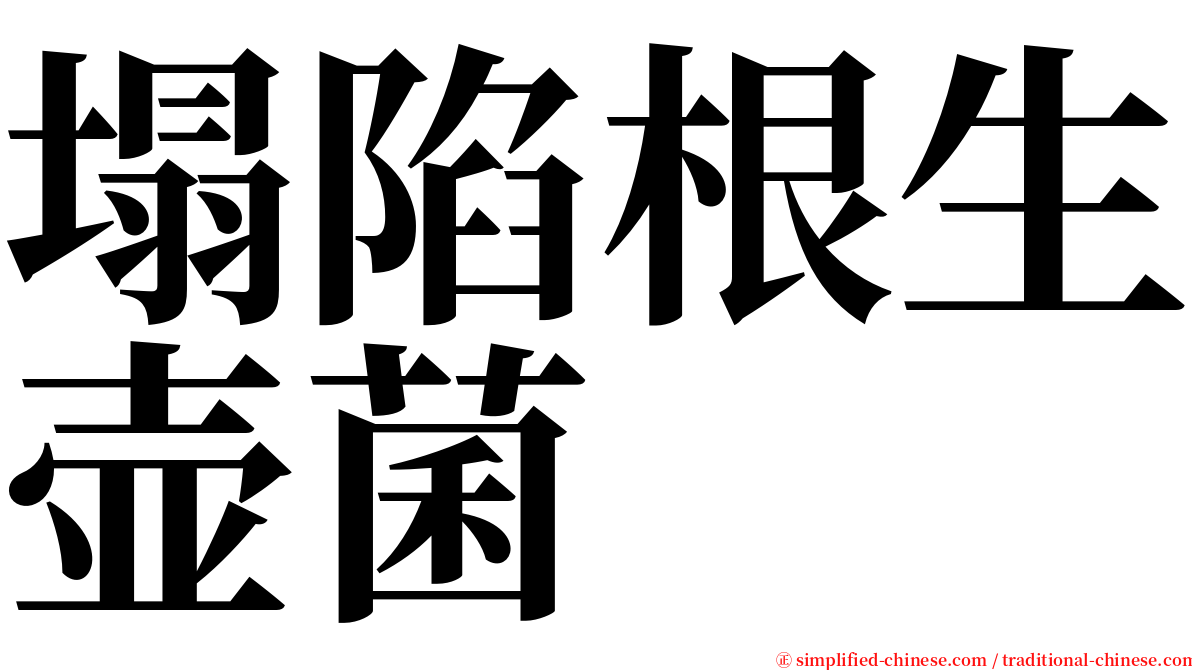 塌陷根生壶菌 serif font