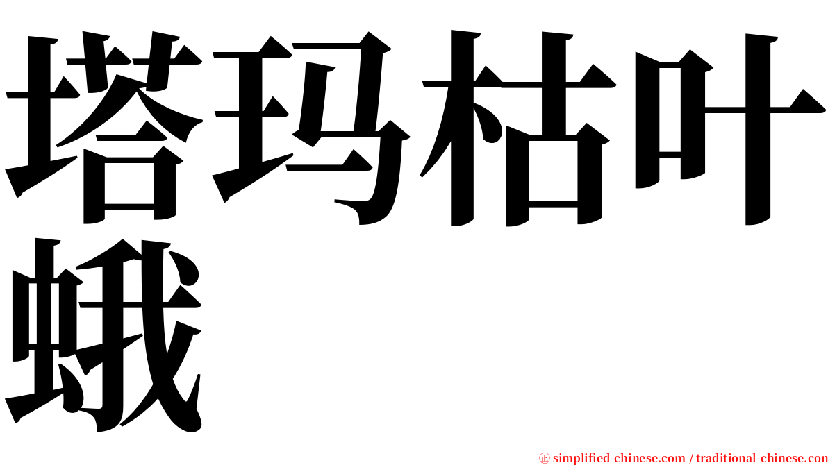 塔玛枯叶蛾 serif font