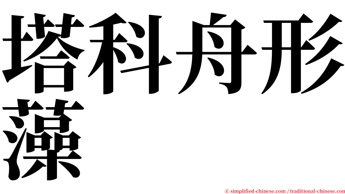 塔科舟形藻 serif font