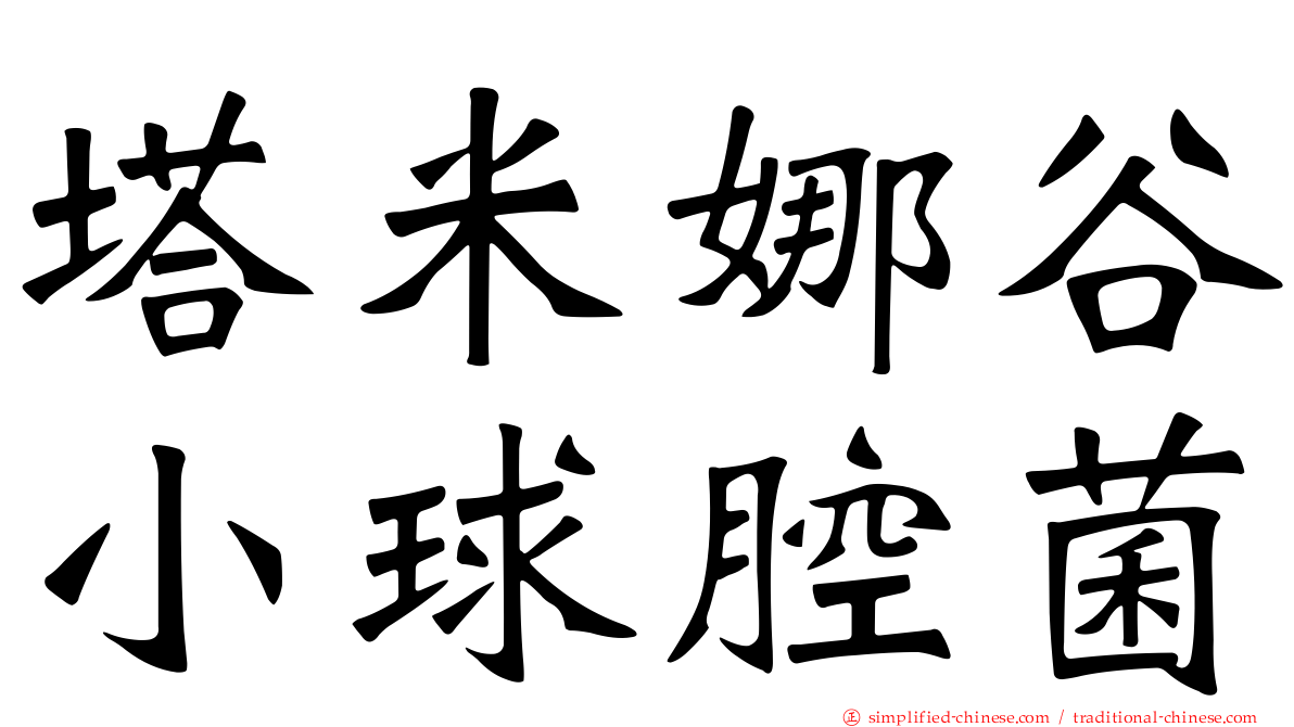 塔米娜谷小球腔菌