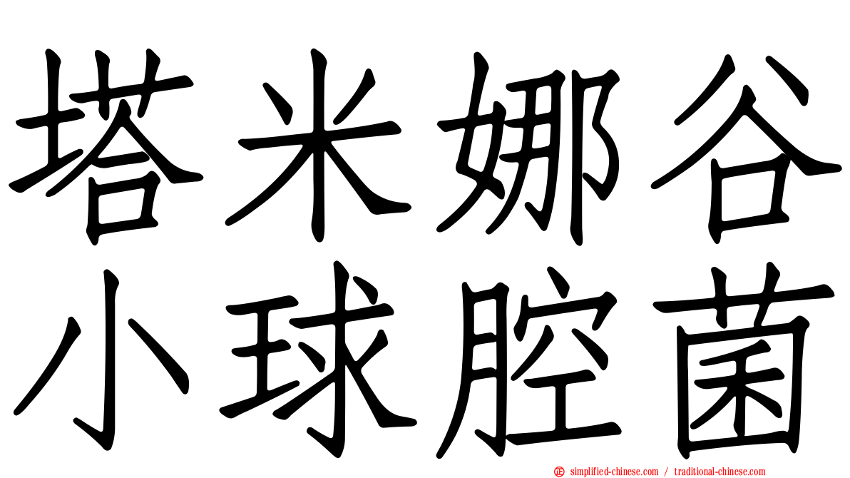 塔米娜谷小球腔菌