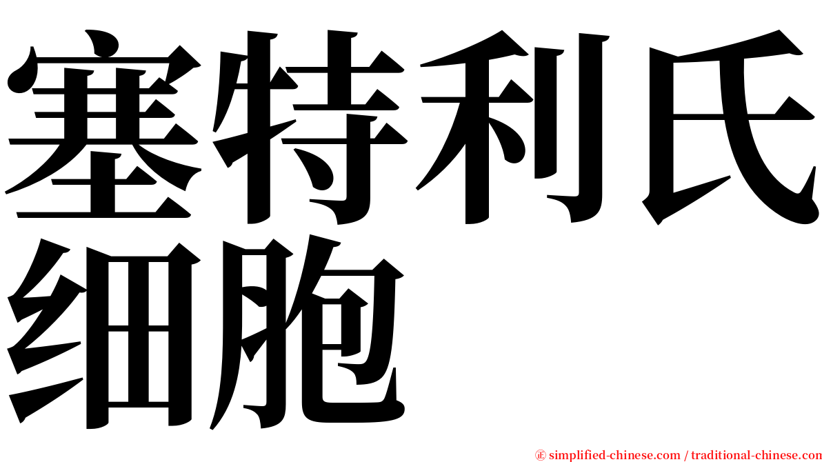 塞特利氏细胞 serif font