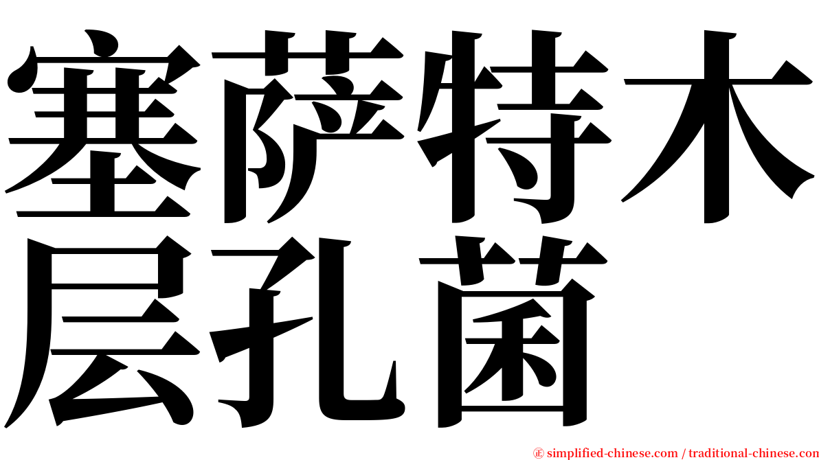 塞萨特木层孔菌 serif font