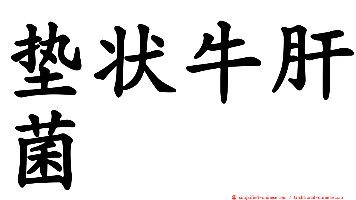 垫状牛肝菌