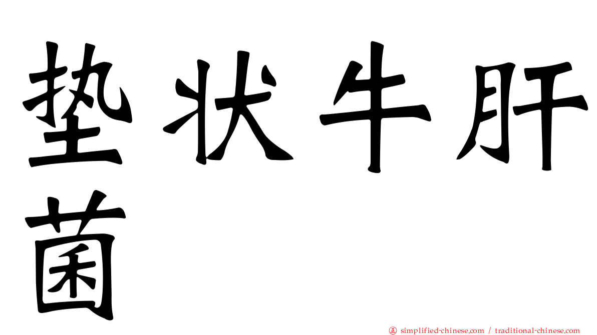 垫状牛肝菌