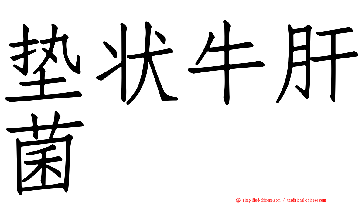 垫状牛肝菌