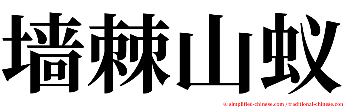 墙棘山蚁 serif font