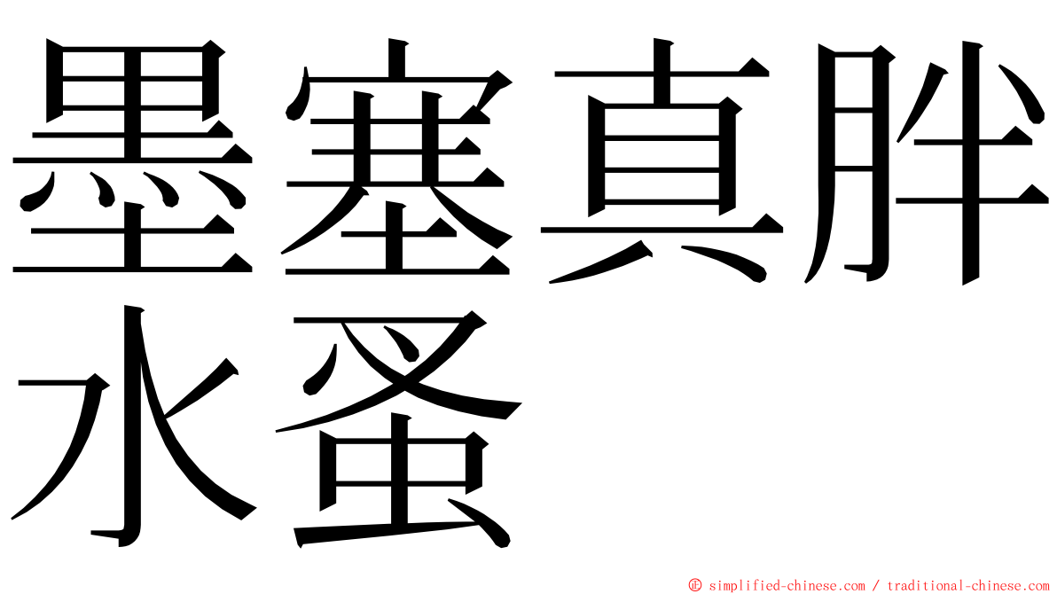 墨塞真胖水蚤 ming font