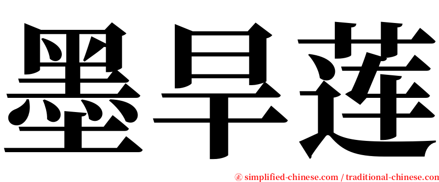 墨旱莲 serif font