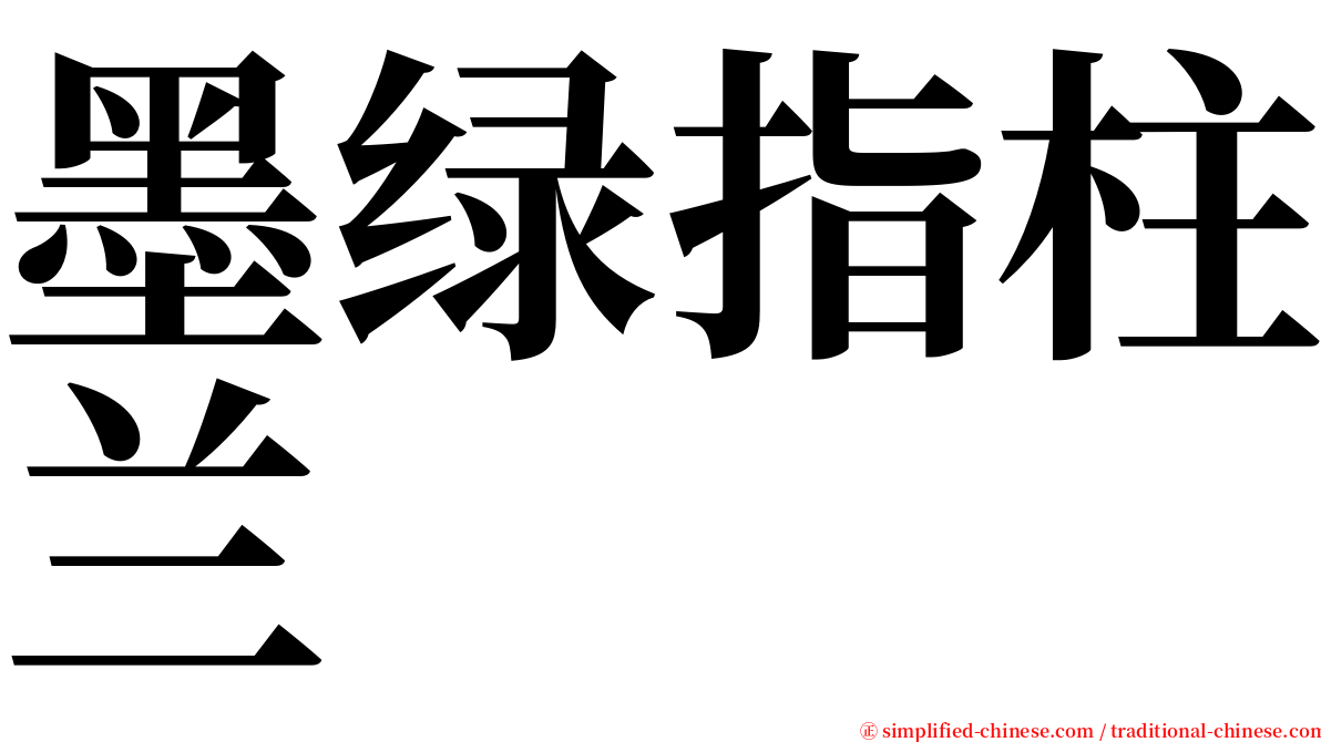 墨绿指柱兰 serif font