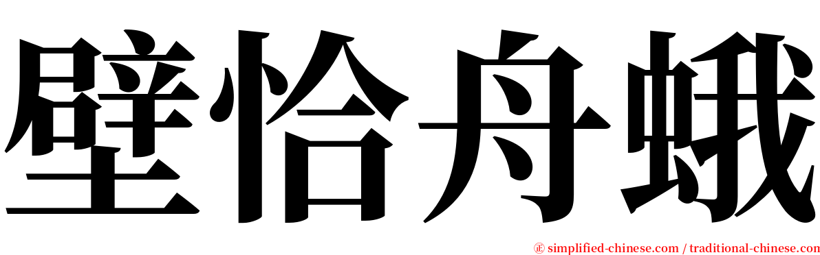 壁恰舟蛾 serif font