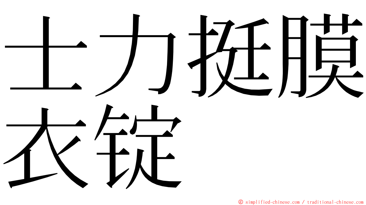 士力挺膜衣锭 ming font