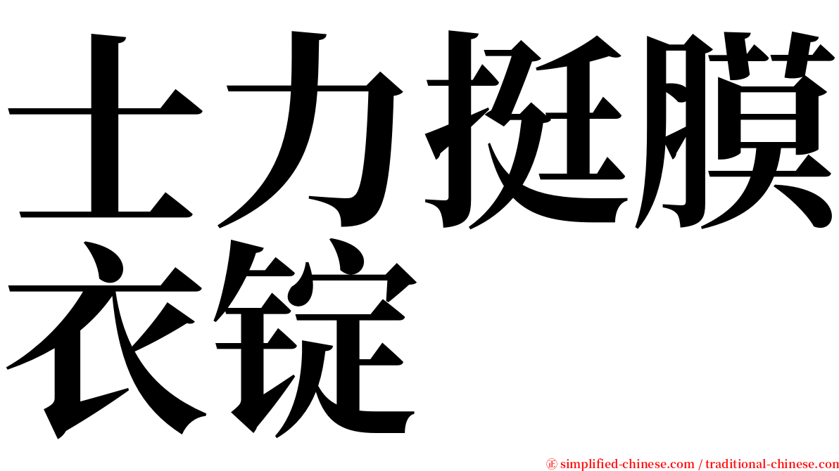 士力挺膜衣锭 serif font