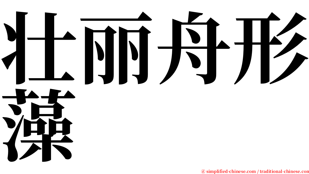 壮丽舟形藻 serif font