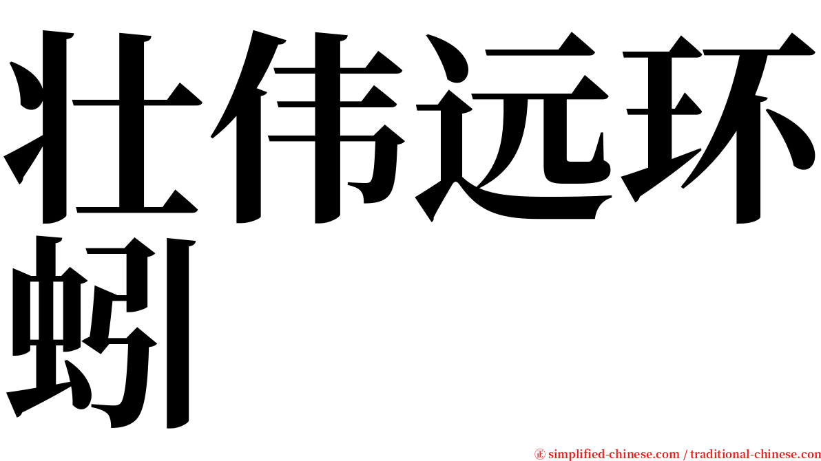 壮伟远环蚓 serif font