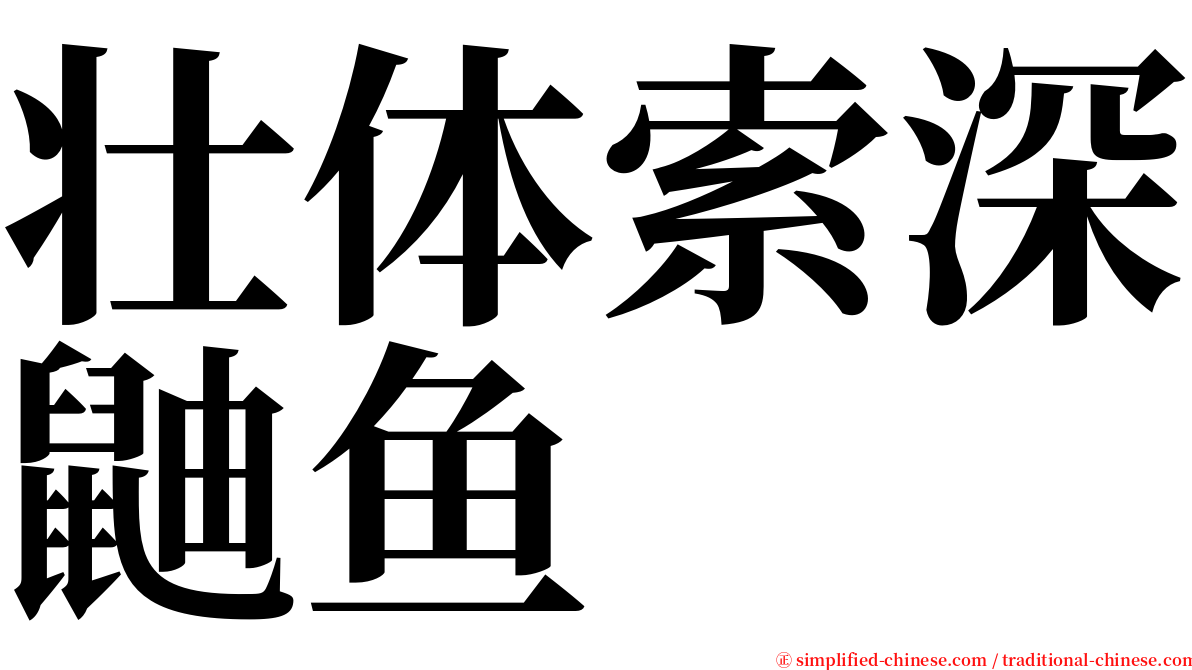 壮体索深鼬鱼 serif font